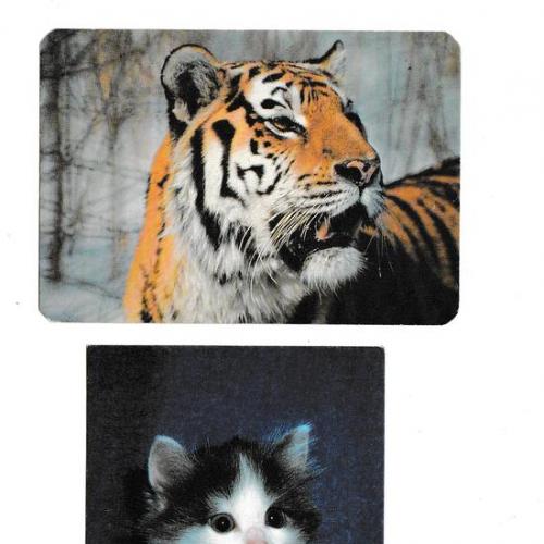 Календарики 1993 Кошка, тигр
