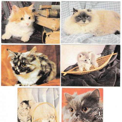 Календарики 1993 Кошки РЕДКИЕ
