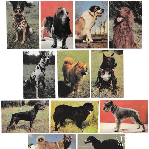 Календарики 1993 Собаки, страхование, набор, ежемесячники
