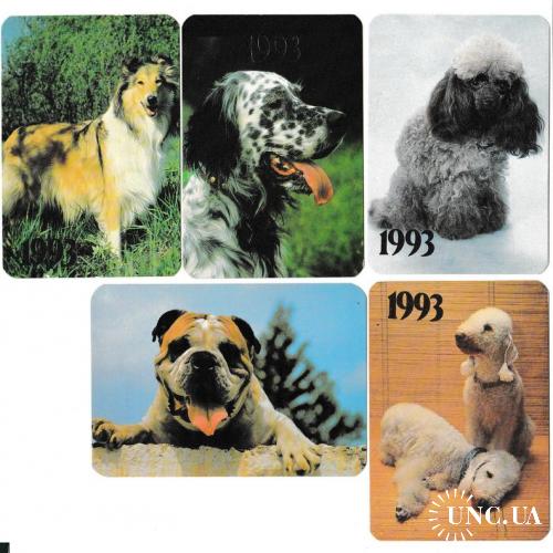 Календарики 1993 Собаки
