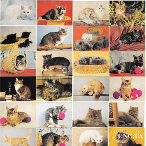 Календарики 1994 Кошки РЕДКИЕ
