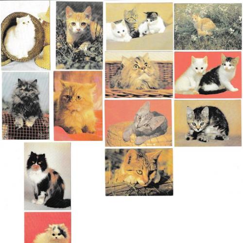Календарики 1995 Кошки РЕДКИЕ
