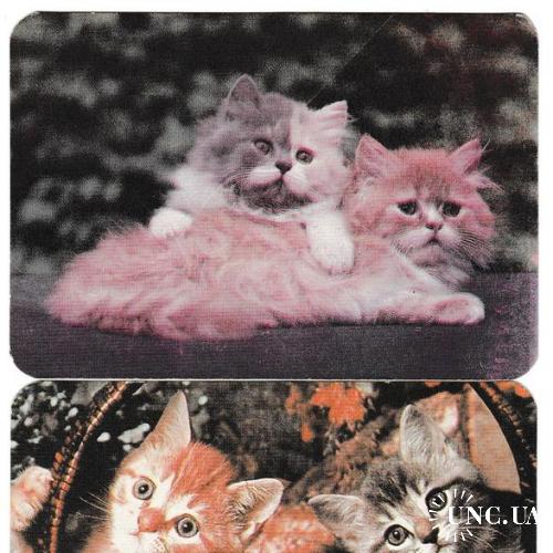 Календарики 1996 Кошки
