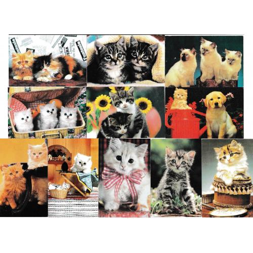 Календарики 1997 Кошки, собаки