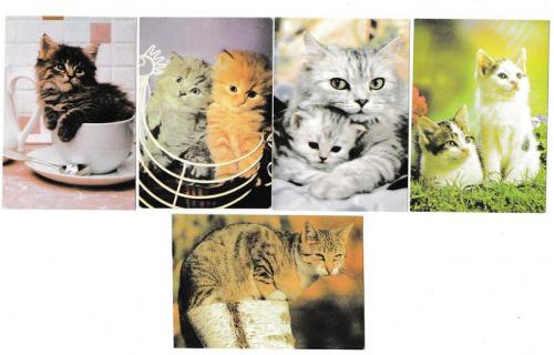Календарики 1997 Кошки
