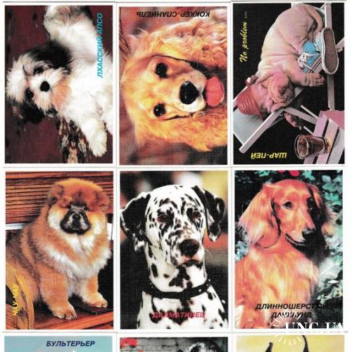 Календарики 1997 Собаки, животные
