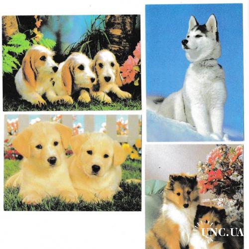 Календарики 1997 Собаки
