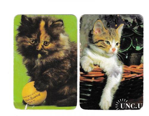 Календарики 1998 Кошки
