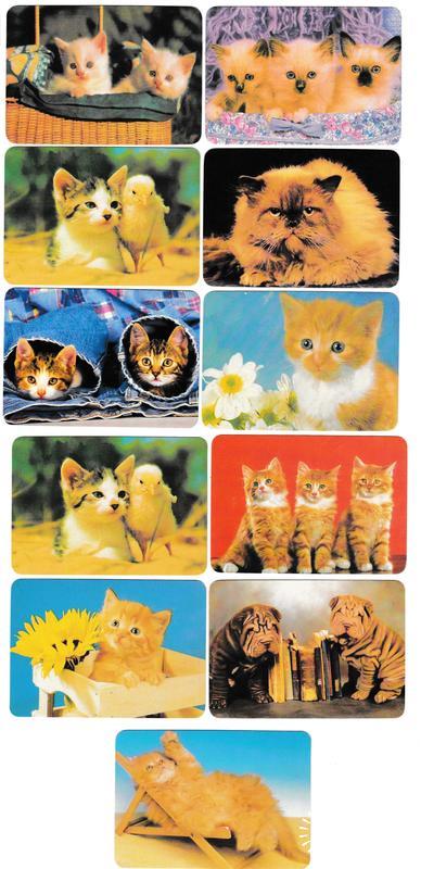 Календарики 2000 Кошки, животные
