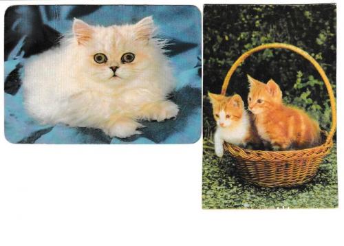 Календарики 2000 Кошки

