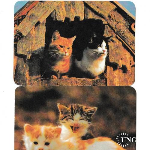 Календарики 2000 Кошки
