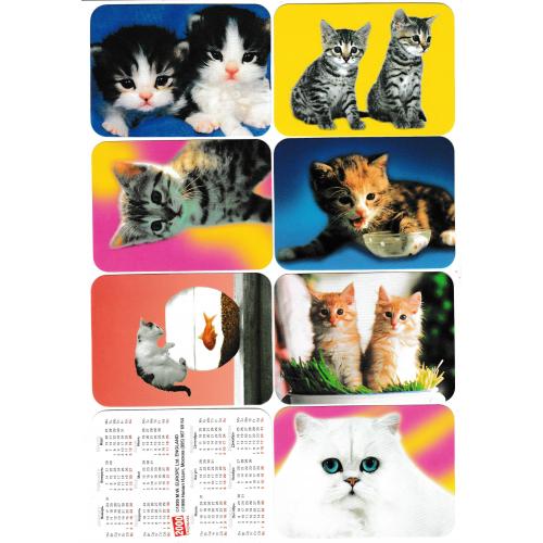 Календарики 2000 Коти, 40 шт.