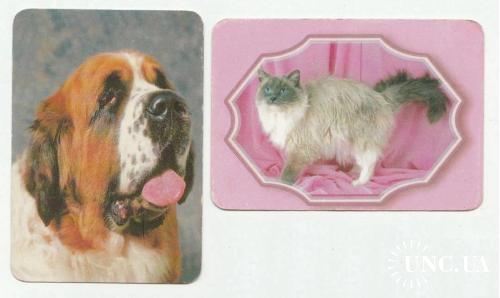Календарики 2001 Кошка, собака
