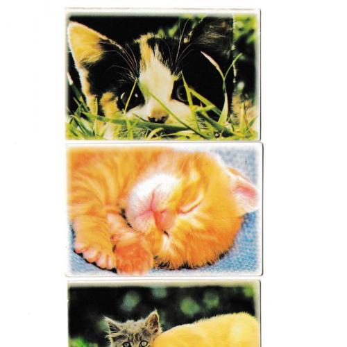 Календарики 2002 Кошки, Год Лошади
