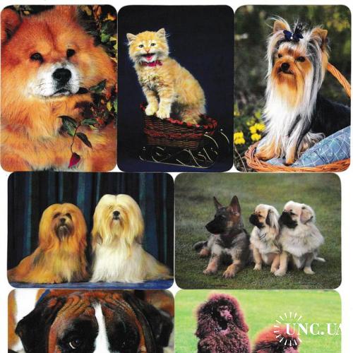 Календарики 2002 Кошки, Собаки, Год Лошади
