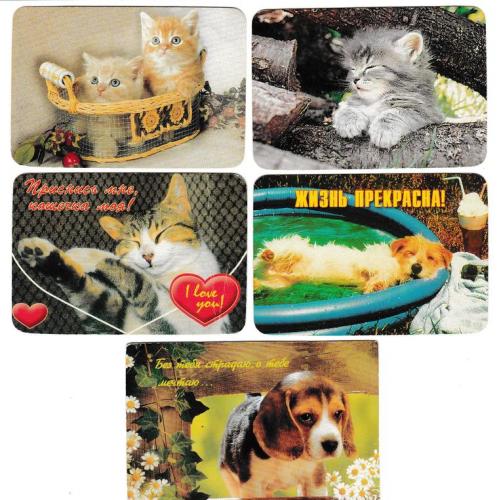 Календарики 2002 Кошки, собаки, речёвки
