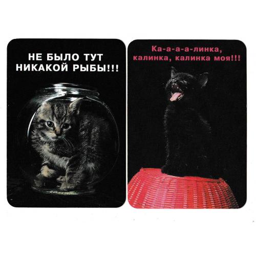 Календарики 2002 Кошки