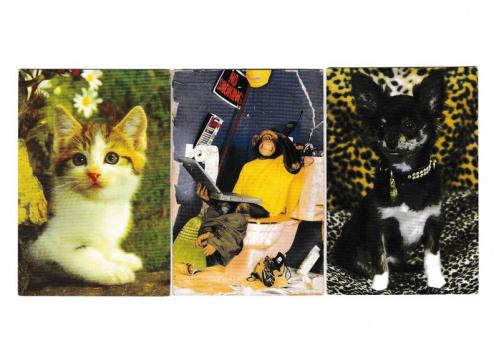 Календарики 2003 Кошка, собака, обезьяна

