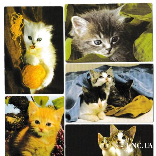 Календарики 2003 Кошки
