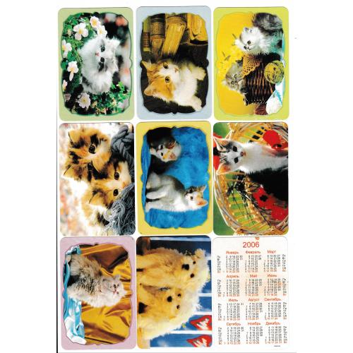 Календарики 2006 Коти, 17 шт. 