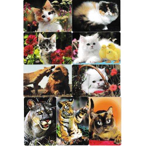 Календарики 2018 Кошки, львы, тигры, 30 шт.