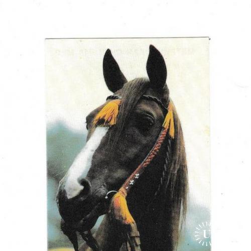 Карточка Лошадь, Метрическая система мер