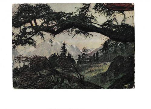 Открытка 1961 Природа, горы, Горный Алтай, Пейзаж, ИЗОГИЗ, тир. 40000
