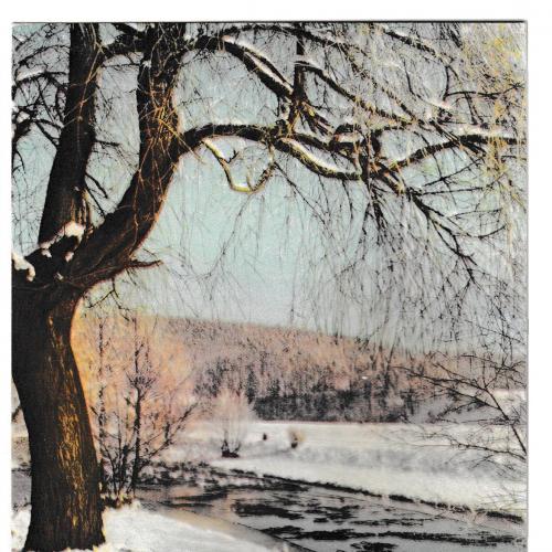 Открытка 1963 Die Besten Neujahrswunsche, зима, природа, С Новым Годом, Германия