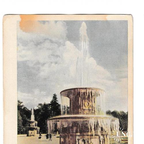 Открытка 1964 Петродворец. Римские фонтаны
