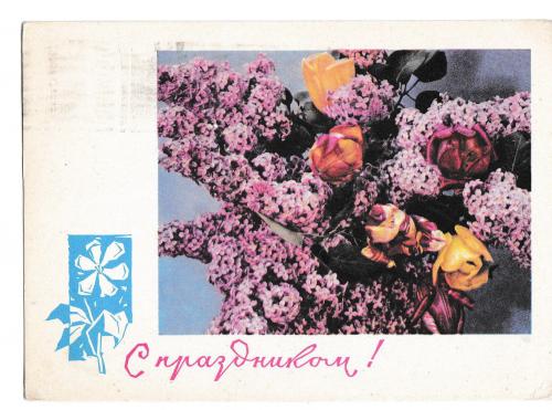 Открытка 1966 С праздником!, цветы, п/п