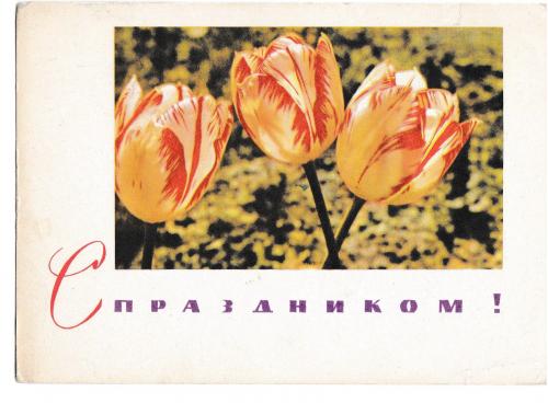 Открытка 1967 С праздником!, цветы, п/п