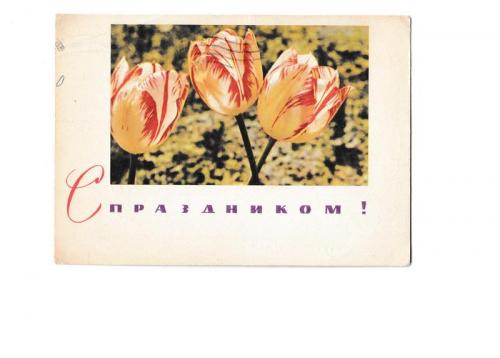 Открытка 1968 С Праздником!, цветы, п/п
