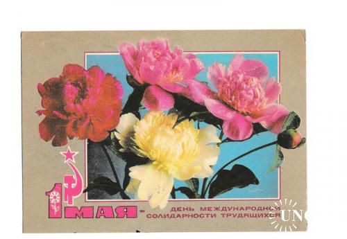 Открытка 1972 1 мая, цветы, п/п

