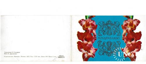 Открытка 1973 Поздравляю!, цветы, худ. Столяров
