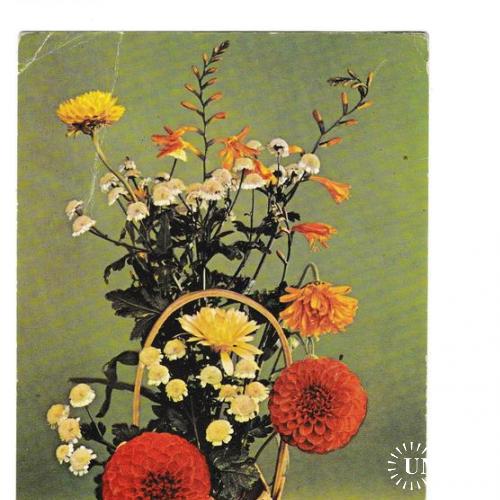Открытка 1974 Цветы, Польша
