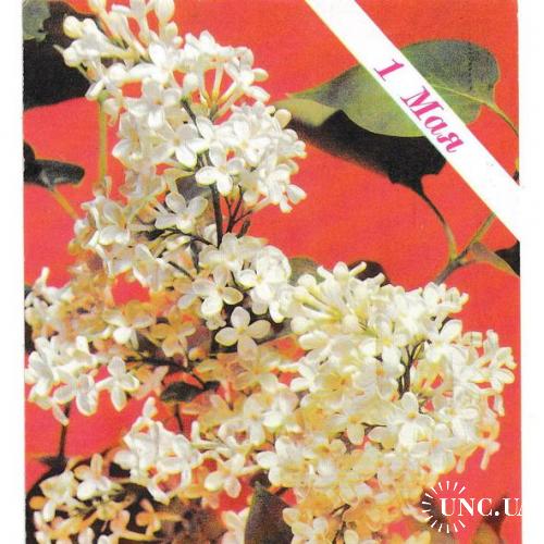 Открытка 1989 1 мая, Пропаганда, цветы
