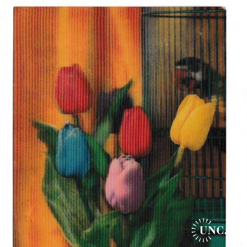 Открытка СТЕРЕО Цветы, тюльпаны, попугай, Ирландия, прим. конец 60-х - нач. 70-х
