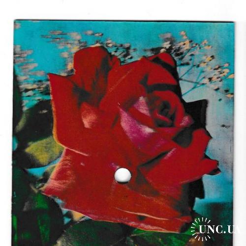 Открытка СТЕРЕО с пластинкой 1979 Музыкальный сувенир, цветы, розы, Музфонд СССР

