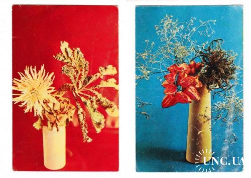 Открытки 1969 Цветы
