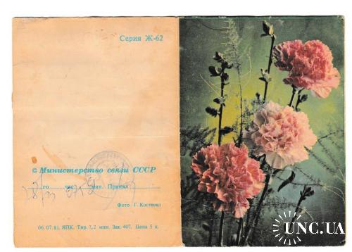 Телеграмма открытка 1981 Цветы, гвоздики, Серия Ж-62, п/п
