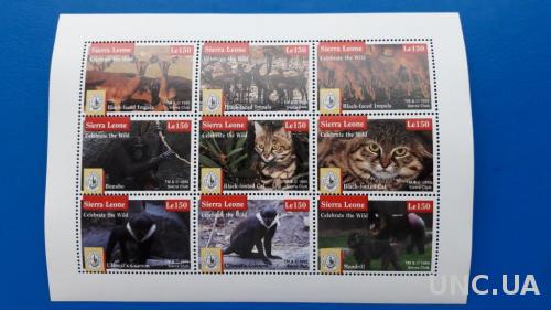 Сьерра-Леоне 1995 Фауна дикие кошки кошачьи обезьяны антилопы млекопитающие животные малый лист MNH