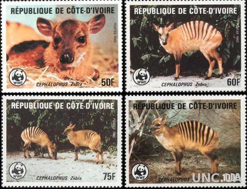 фауна Кот-д'Ивуар -1985 wwf, антилопа (кц 55е)
