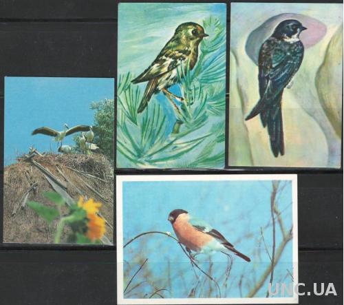 Карманные календари. 1983/90г. Птицы (4 шт)