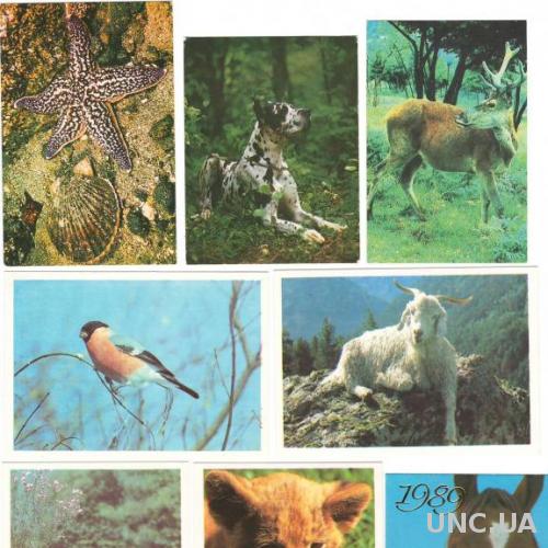 Карманные календари 1989/90г. Животные, подборка (8 шт)