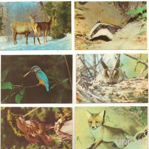 Набор календарей ежемесячников 1990г. МИР ЖИВОТНЫХ