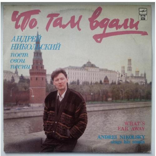 Андрей Никольский - Что Там Вдали - 1991. (LP). 12. Vinyl. Пластинка. Rare.