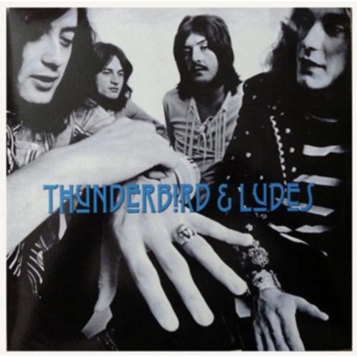 Led Zeppelin - Thunderbird &amp; Ludes. Live In New York - 1969. (2LP). 12. Vinyl. Пластинки. Europe.