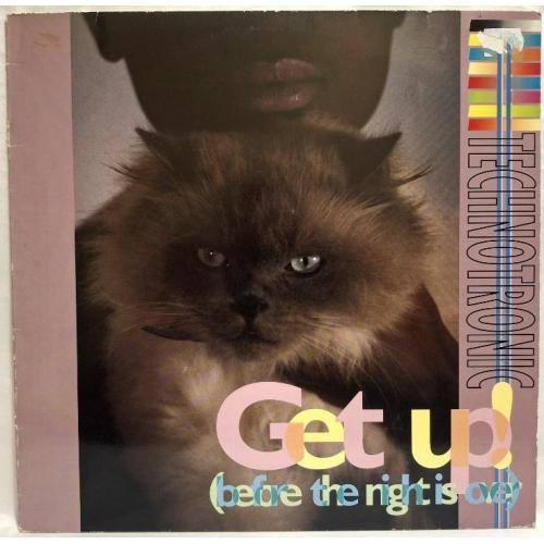 Technotronic - Get Up! Before The Night Is Over - 1990. (EP). 12. Vinyl. Пластинка. Sweden