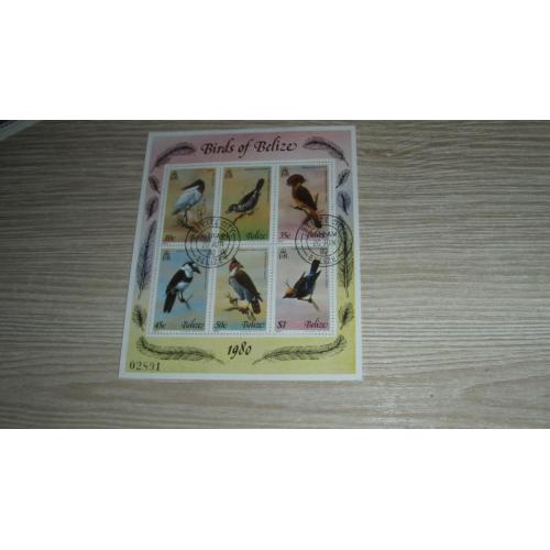 Белиз, птицы