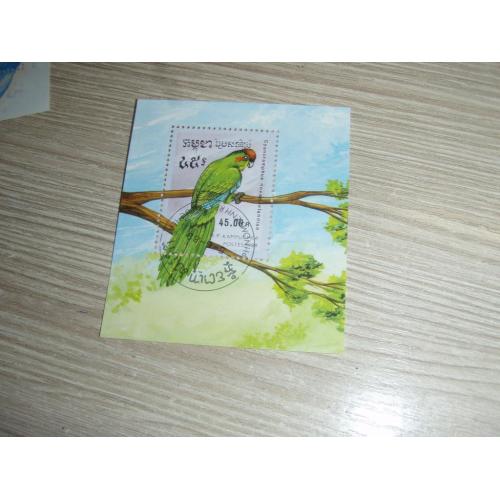 Камбоджа, птицы